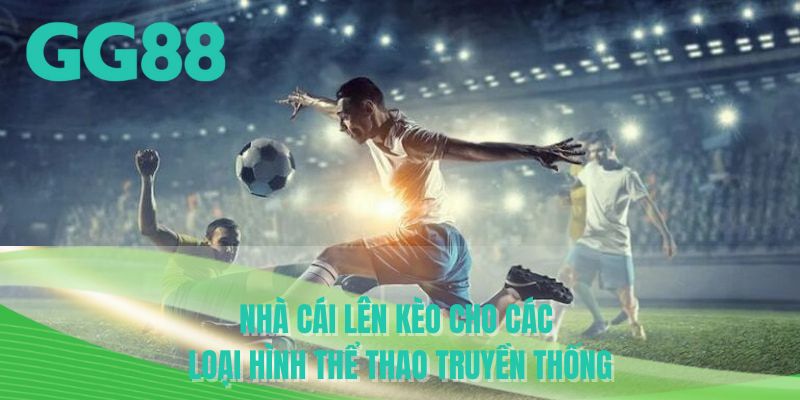 Nhà cái lên kèo cho các loại hình thể thao truyền thống